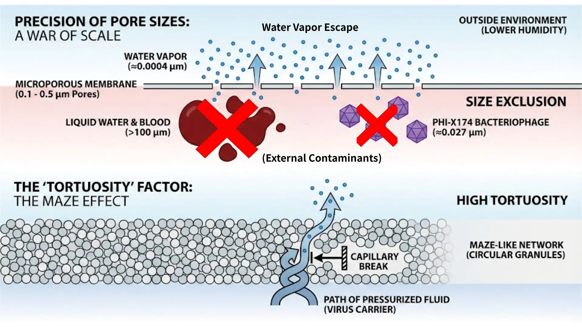 Microscopic Science: The Physics of Protection and Breathability